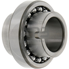 Universalus dvieilis rutulinis guolis 11205 1 Universalus dvieilis rutulinis guolis 11205 1