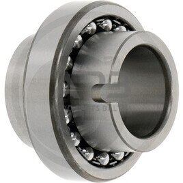 Universalus dvieilis rutulinis guolis 11208 1