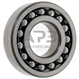 Universalus dvieilis rutulinis guolis 1309 Universalus dvieilis rutulinis guolis 1309