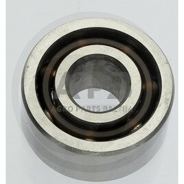 Universalus dvieilis rutulinis guolis 3201 Universalus dvieilis rutulinis guolis 3201