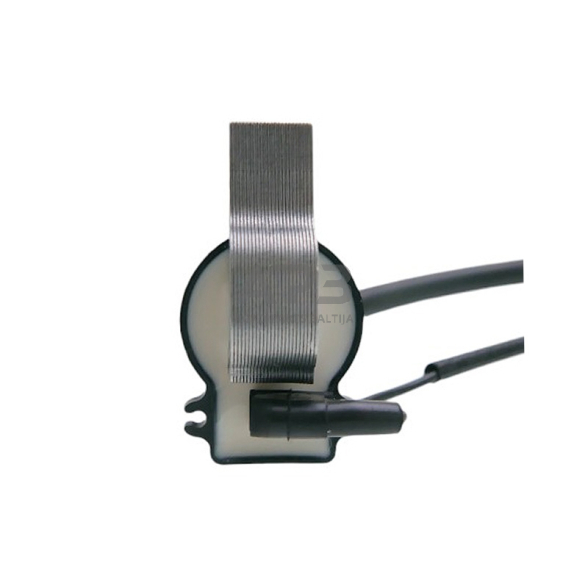 Uždegimo ritė Loncin LC1P88F, LC1P90F, LC1P92F, 270920251-0004, 2709202510004, 270920251-T370, 270920251T370, 270920251-0001, 2709202510001 6