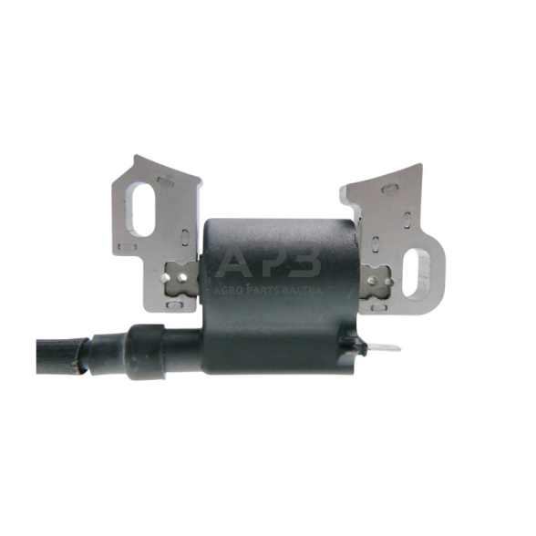 Uždegimo ritė NAC NGP T675 4