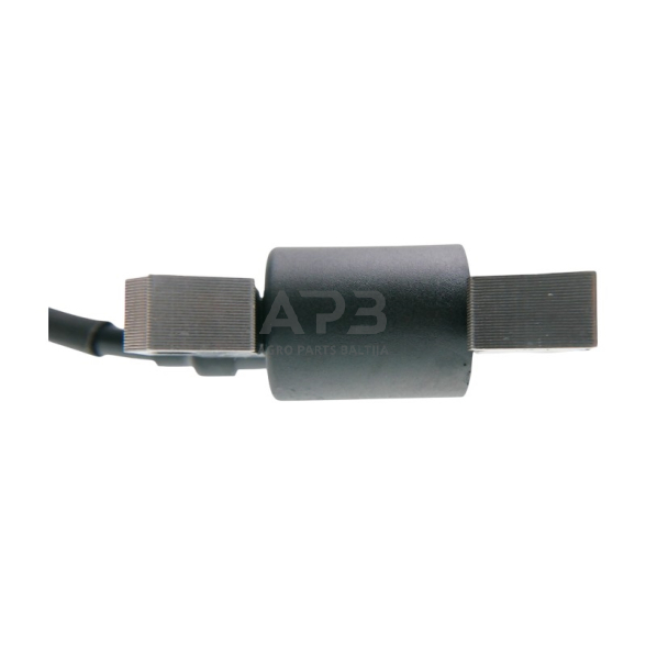 Uždegimo ritė NAC NGP T675 6