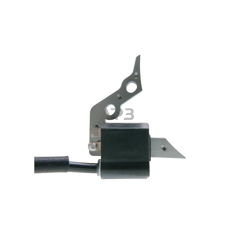 Uždegimo ritė kiniškiems varikliams 4