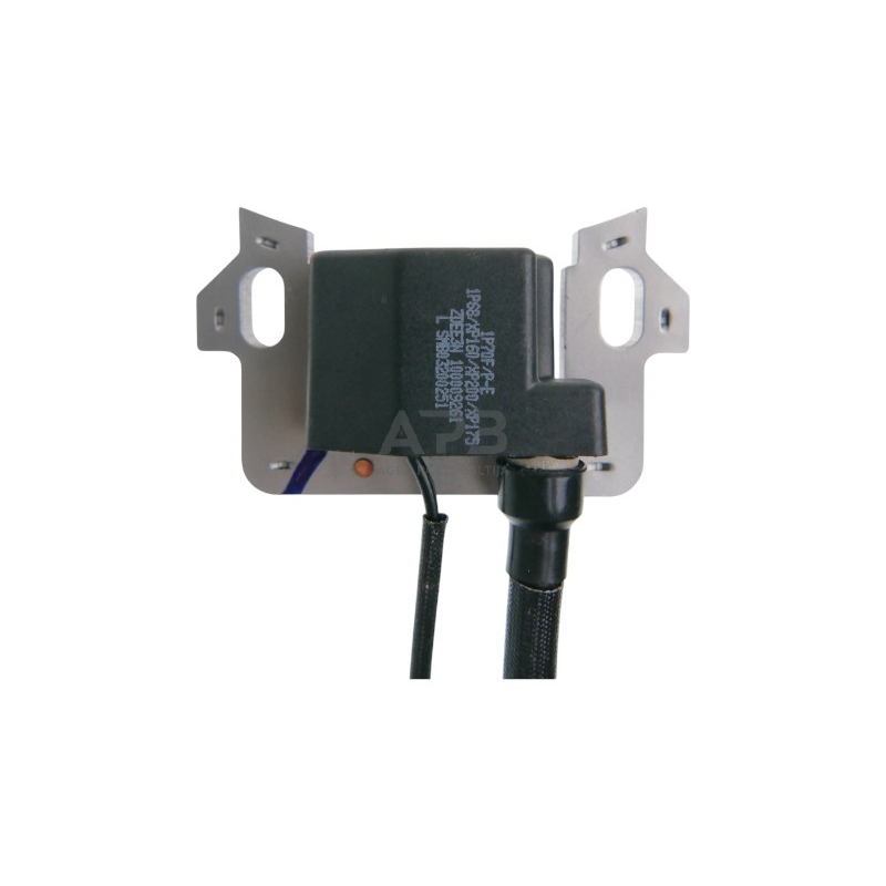 Uždegimo ritė ZONGSHEN XP200 100009228, 100009261, 100030058 3