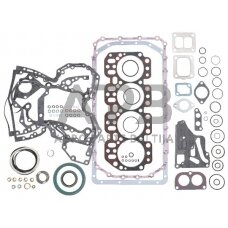 Variklio tarpinių komplektas Glaser Dana RE64291N