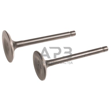 Variklio vožtuvų komplektas Loncin G420F, LC8000D-AS, LC185FDS