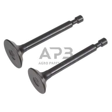 Variklio vožtuvų komplektas Loncin LC1P65FA, 1P65FE