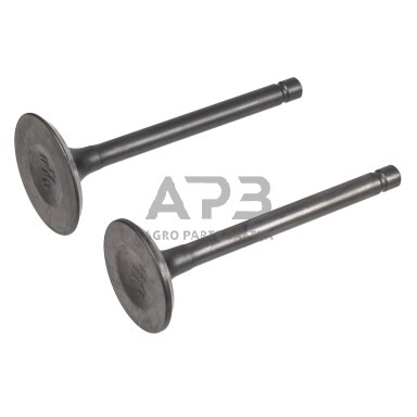 Variklio vožtuvų komplektas Loncin LC1P85FA