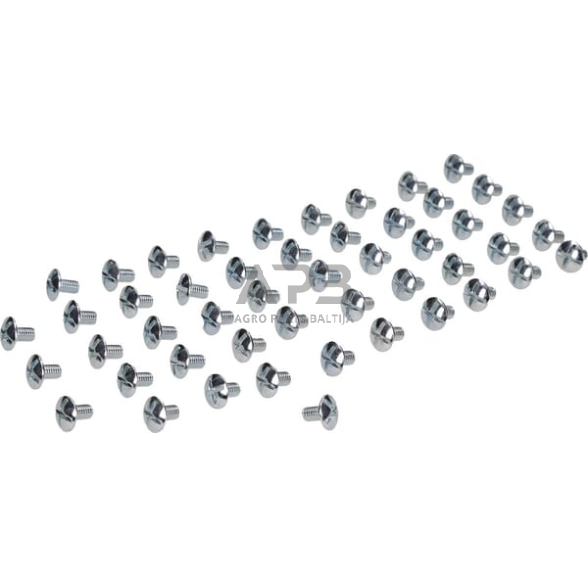 Varžtas DIN88107 M6x10, 88107610 2 Varžtas DIN88107 M6x10, 88107610 2