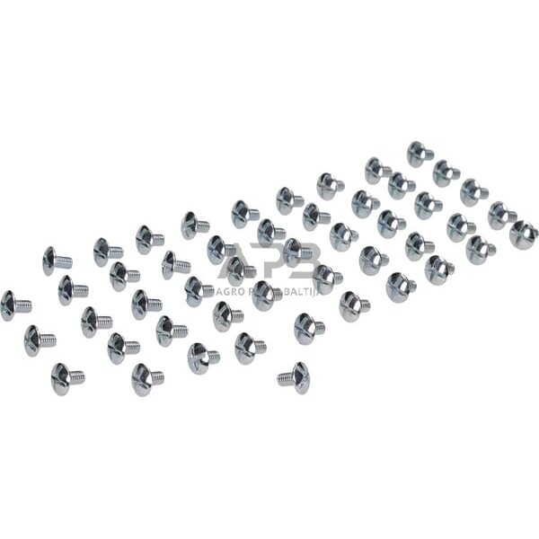 Varžtas DIN88107 M6x10, 88107610 2 Varžtas DIN88107 M6x10, 88107610 2