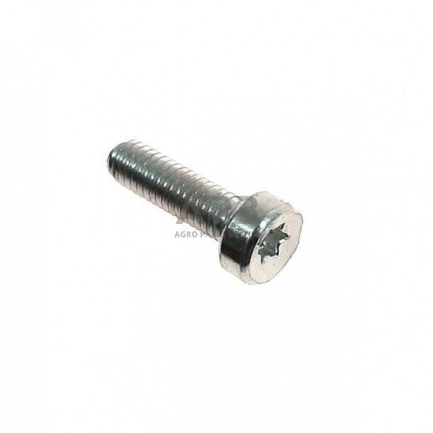 Varžtas technikai STIHL FH75, FC73, TS350, HL75, HL75K, HL90K, HL95, HL95K, SP200, BT360, P835, P840, MS640, MS650, MS08S, MS084, MS088, FS88, FS106, T27 M6x20 9022 341 1300, 90223411300