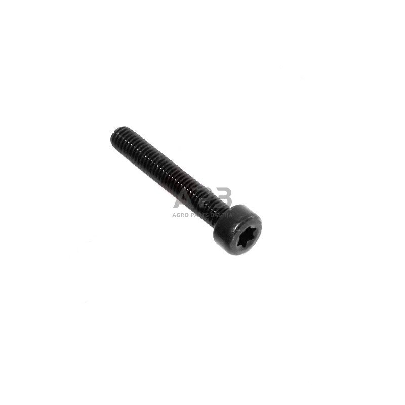 Varžtas išmatavimai: M 5 x 30 TORX 4 BLACK Varžtas išmatavimai: M 5 x 30 TORX 4 BLACK