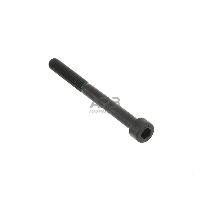 Varžtas išmatavimai: M 5 x 55 IMBUS 4 Varžtas išmatavimai: M 5 x 55 IMBUS 4