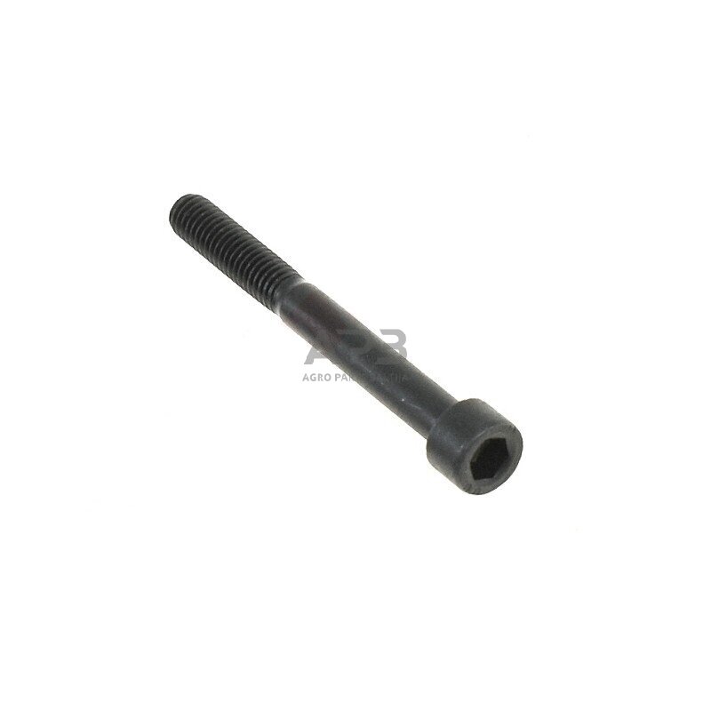 Varžtas išmatavimai: M 6 x 55 IMBUS 5