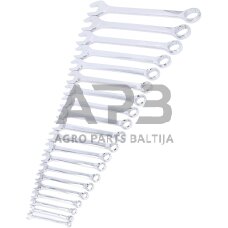 Veržliarakčių kombinuotų rinkinys 19vnt. (6-32mm)