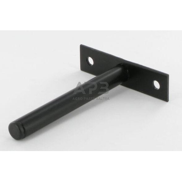 Veidrodėlio laikiklis CA3001170 Veidrodėlio laikiklis CA3001170