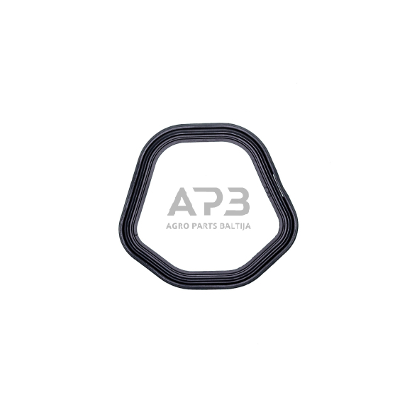 Vožtuvų dangtelio tarpinė Honda GX390 12391-ZE2-020, 12391ZE2020 2 Vožtuvų dangtelio tarpinė Honda GX390 12391-ZE2-020, 12391ZE2020 2