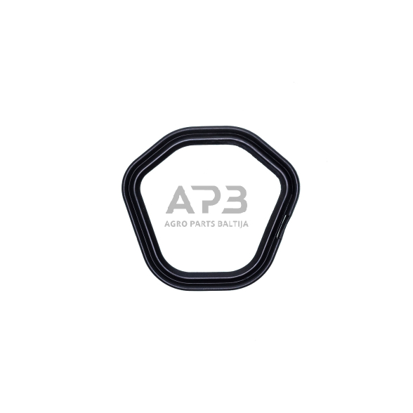 Vožtuvų dangtelio tarpinė Honda GX390 12391-ZE2-020, 12391ZE2020 1 Vožtuvų dangtelio tarpinė Honda GX390 12391-ZE2-020, 12391ZE2020 1