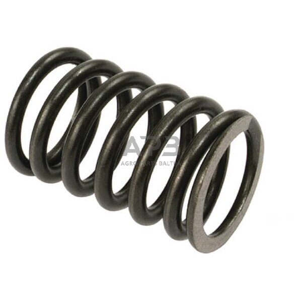 Vožtuvo spyruoklė Vapormatic VPA2010