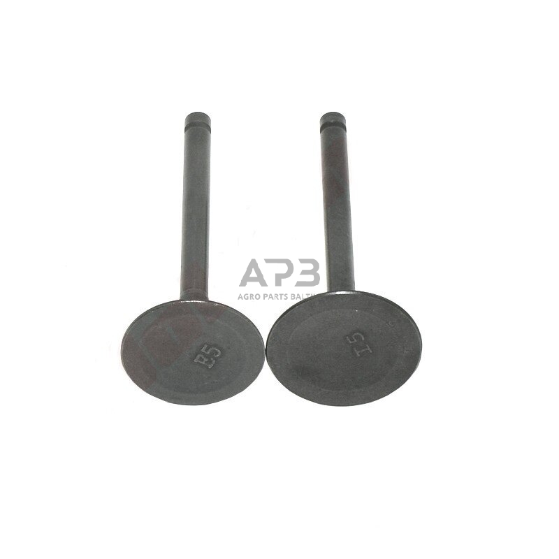 Vožtuvas ROBIN EX27 279-33401-H3, 27933401H3